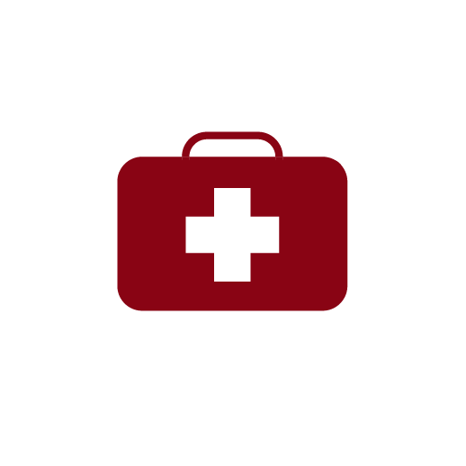 Icon of a medical box.